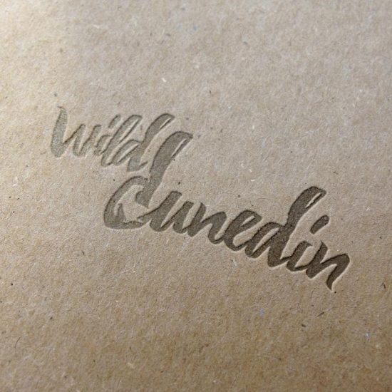 Wild-Dunedin-Sand-Logo