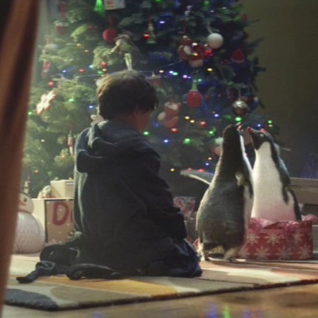 monty-the-penguin